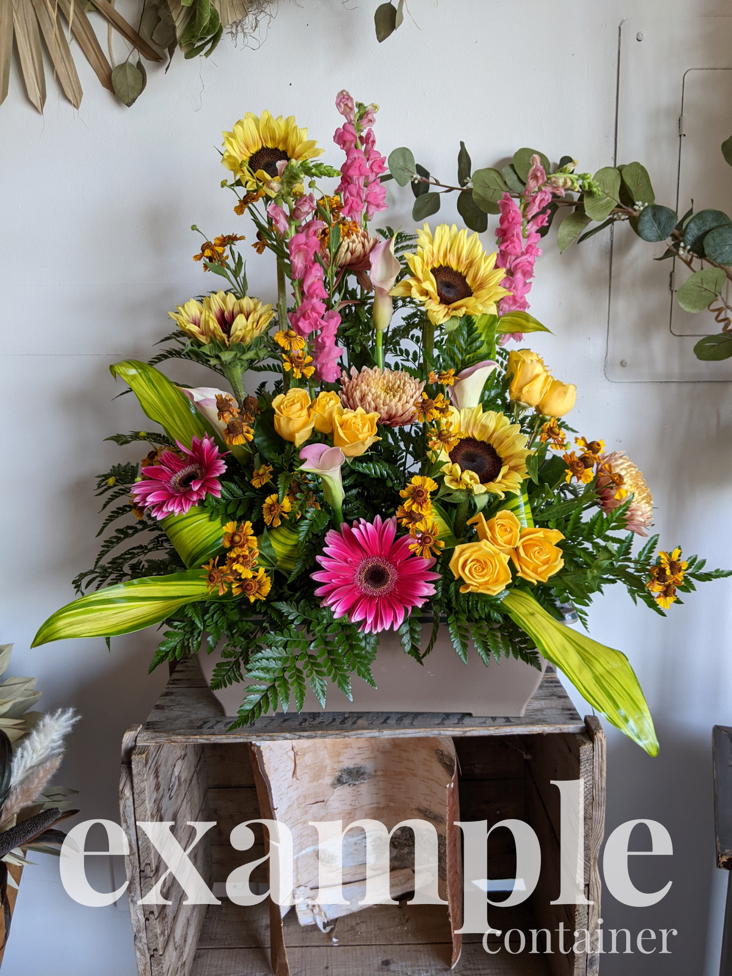 CELEBRATION OF LIFE